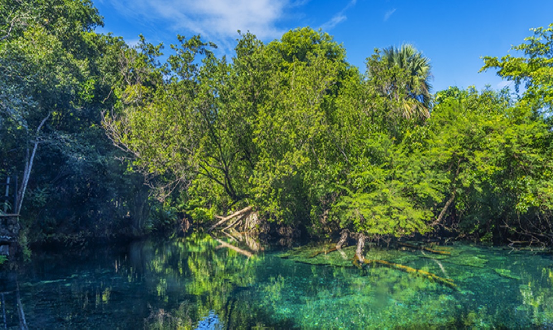 Reserva Ecologica Ojos Indigenas